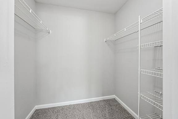 Empty white closet with shelves and carpeted floor.